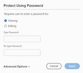 Access viewing image from the interface
